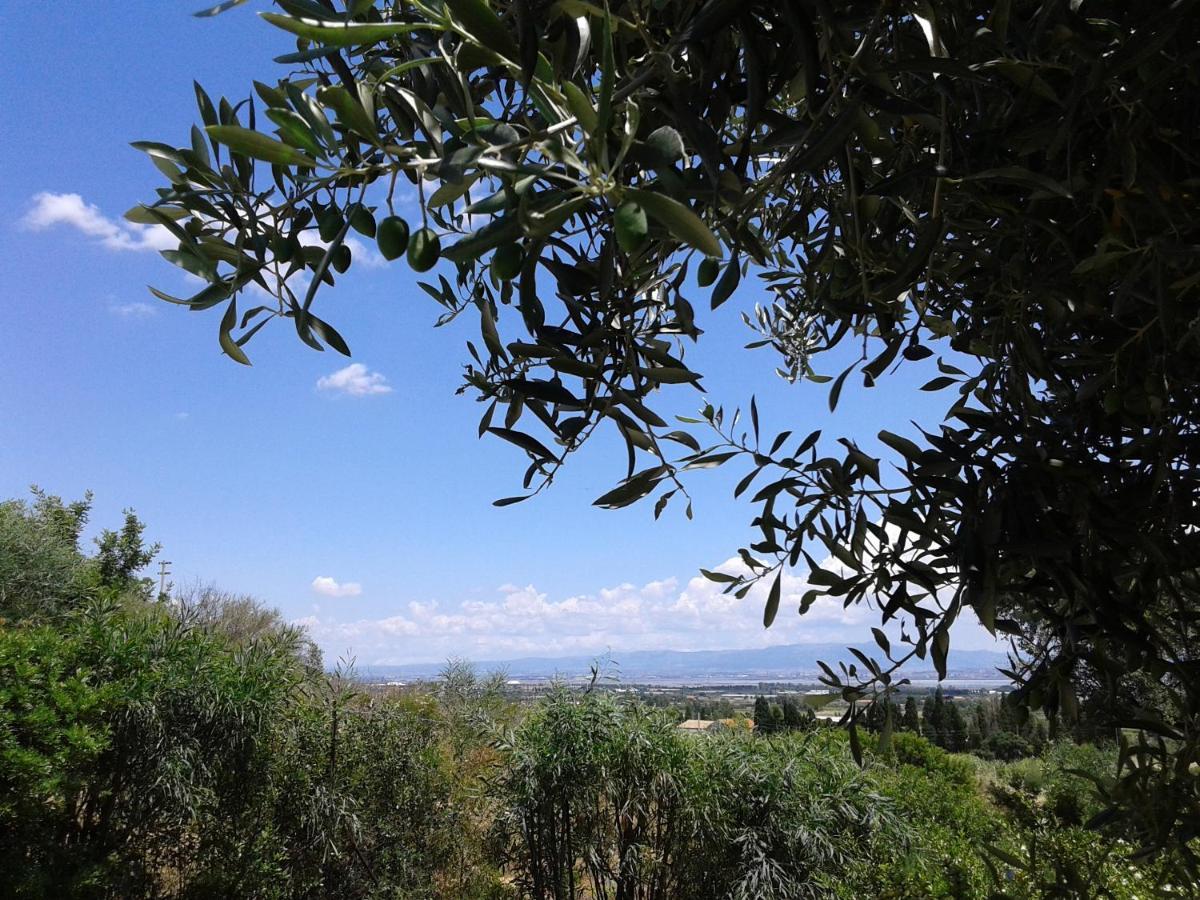 קאפוטרה B&B Coldulivo מראה חיצוני תמונה